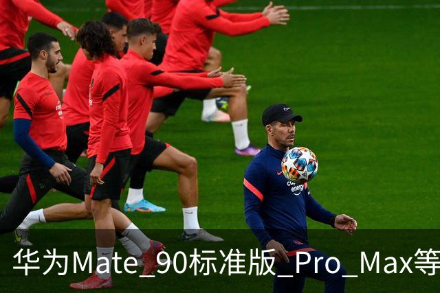 华为Mate 90标准版/ Pro Max等机型开放24期免息分期活动，国补价5499元起