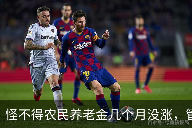 怪不得农民养老金几个月没涨，管理养老金的原副理事长被查