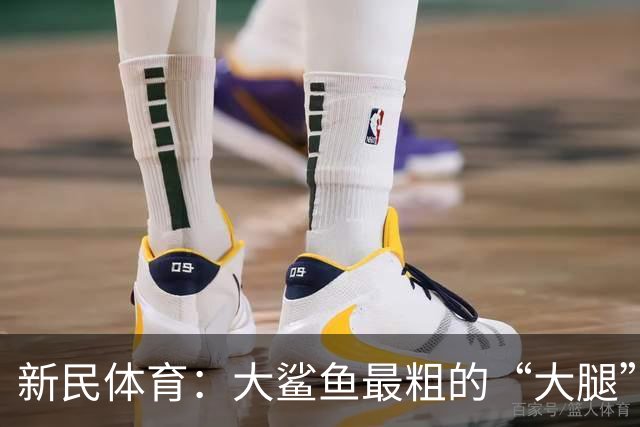 新民体育：大鲨鱼最粗的“大腿”是他？